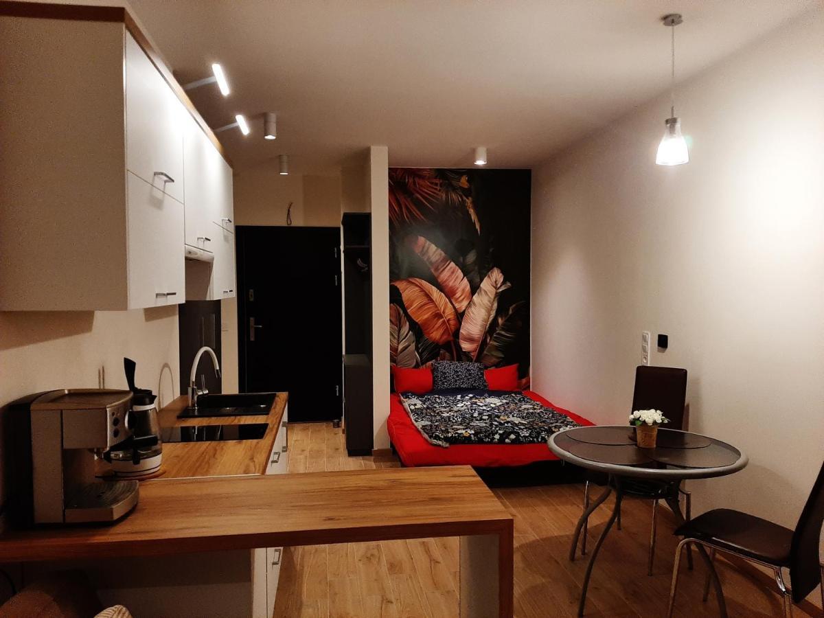 Apartament Pod Szyndzielnia, Debowiec Bielsko-Biała Exterior foto
