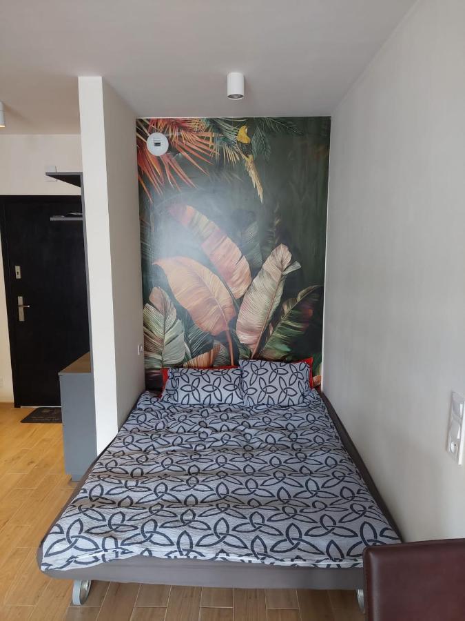 Apartament Pod Szyndzielnia, Debowiec Bielsko-Biała Exterior foto